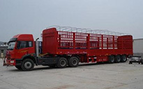 廣州至秀山縣貨運(yùn)物流專(zhuān)線服務(wù) 錦成貨運(yùn)部引領(lǐng)高效運(yùn)輸新標(biāo)桿