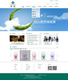 企業(yè)網(wǎng)站設(shè)計(jì) 構(gòu)建數(shù)字時(shí)代的品牌門面與業(yè)務(wù)引擎